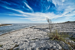 Cape Kamenjak beach 1