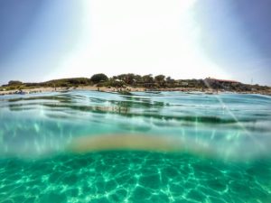 ceja island premantura