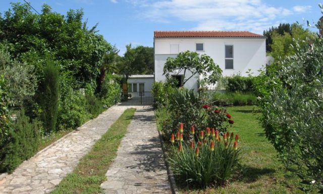 Apartment Jasna