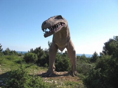 The Dinosaur Path on Kamenjak