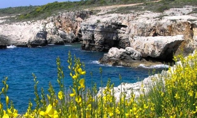 Velika Kolombarica Beach Kamenjak