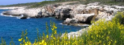 Velika Kolombarica beach Kamenjak 1